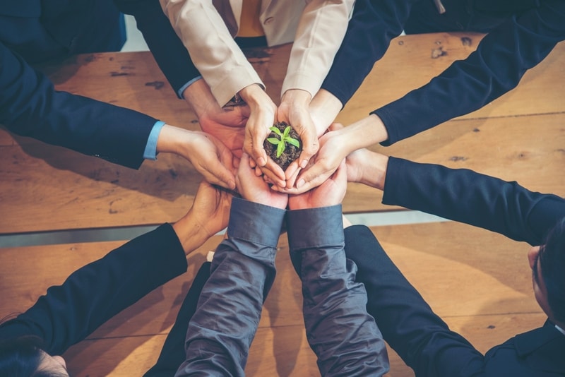 group of hands holding a plant