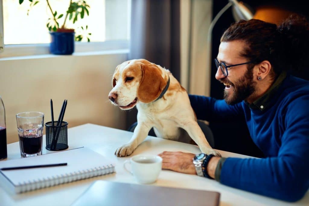 man and dog learning about life after rehab